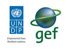 UNDP-GEF青海項(xiàng)目技術(shù)咨詢服務(wù)公開(kāi)招標(biāo)公告